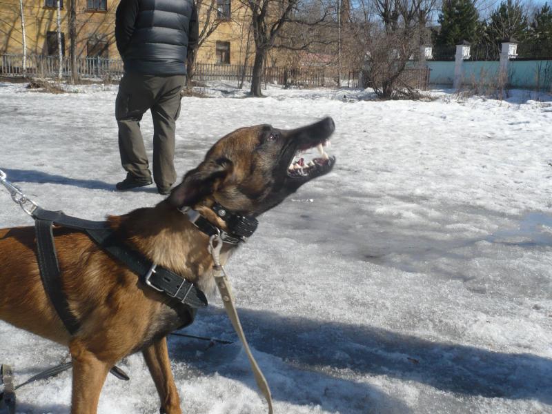 ����������� �������