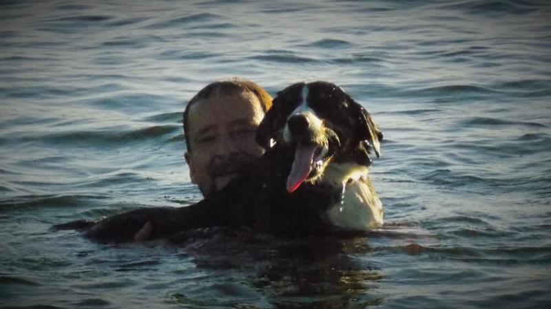 �����������-����������