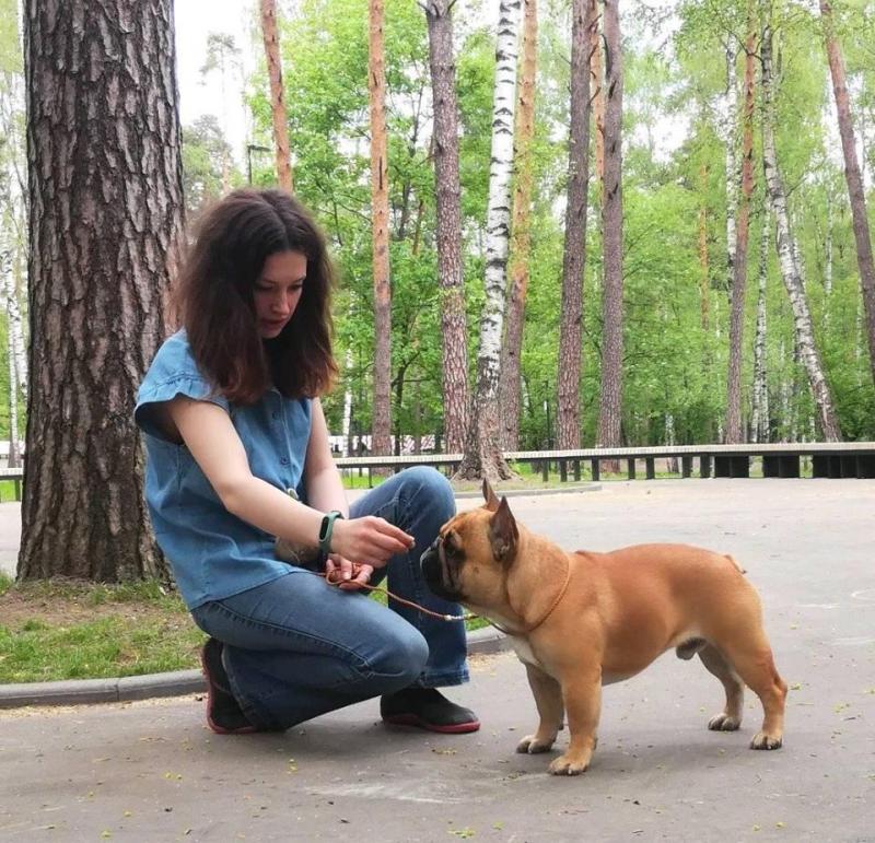 ����������� �������. ���������� �����