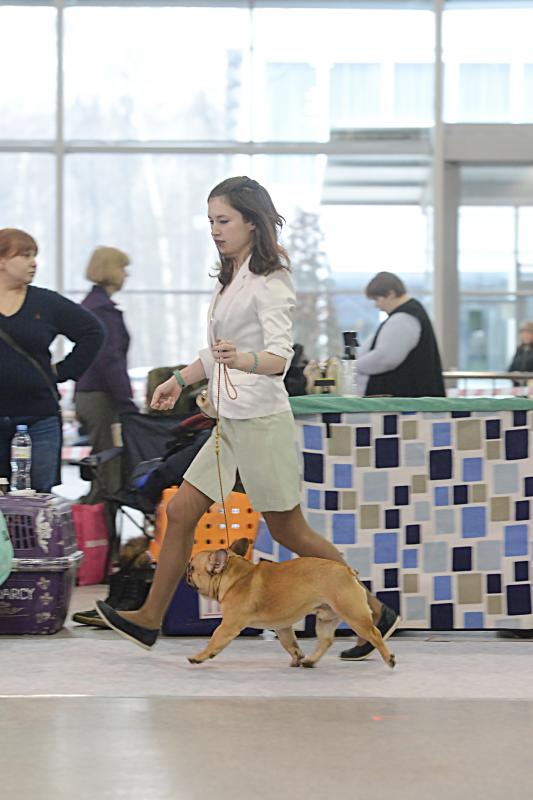 ����������� �������. ���������� �����