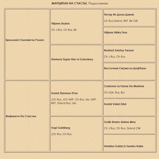 ����������� �������. ���������� �����