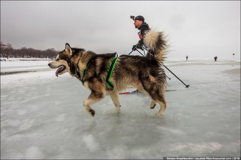 ����������� �������. ���������� �����