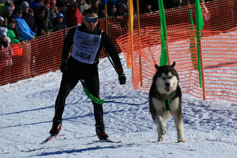 ����������� �������. ���������� �����