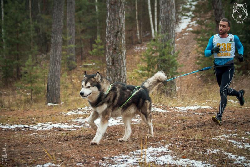 ����������� �������. ���������� �����