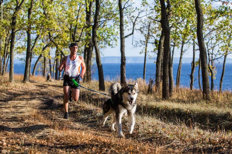 ����������� �������. ���������� �����