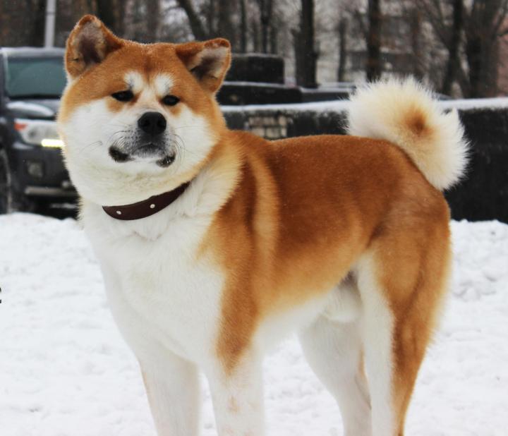 �����-���