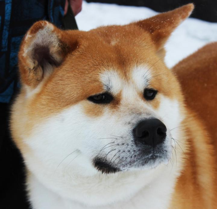 �����-���