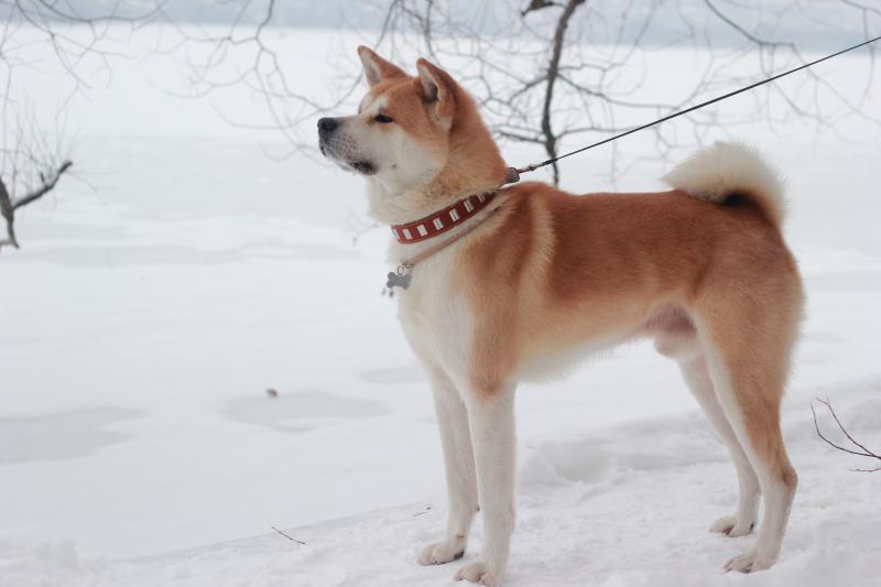 �����-���