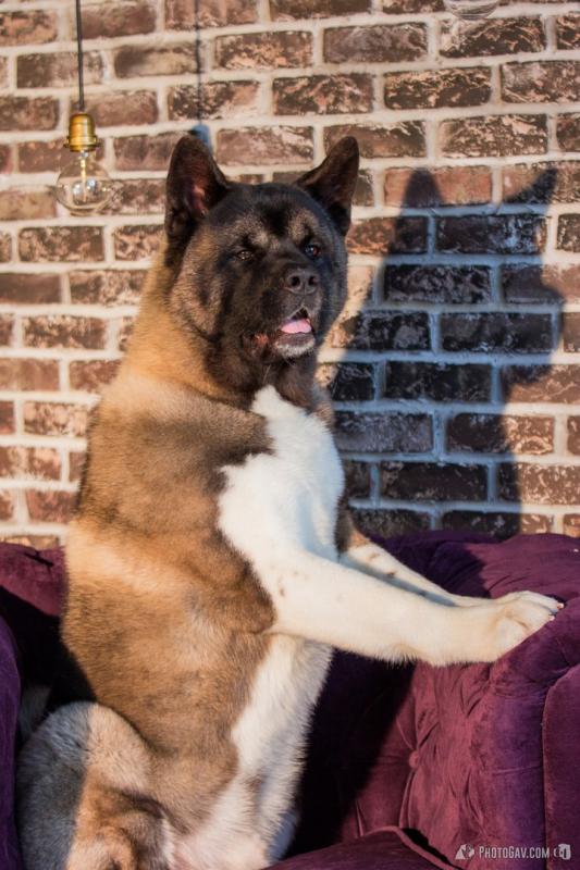 ������������ �����