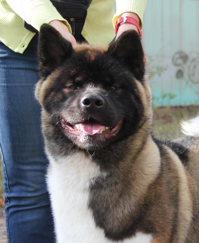 ������������ �����