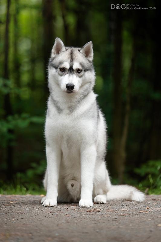 ��������� �����. ���������� �����