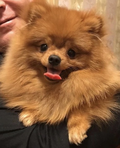 ����������� ����. ���������� �����