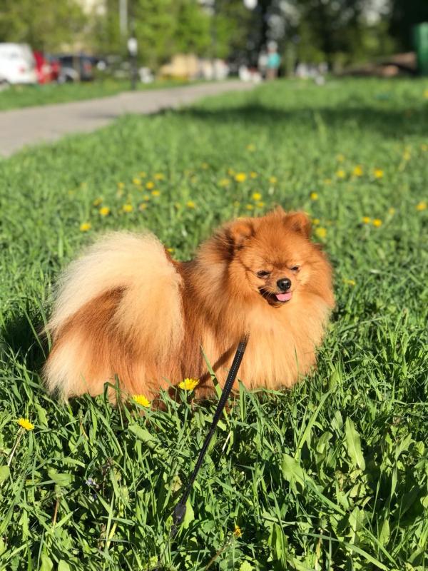 ����������� ����. ���������� �����