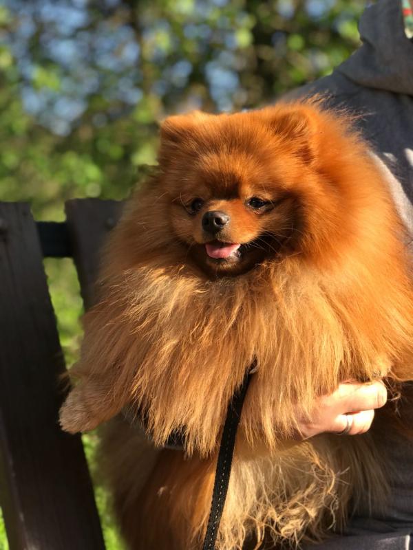 ����������� ����. ���������� �����