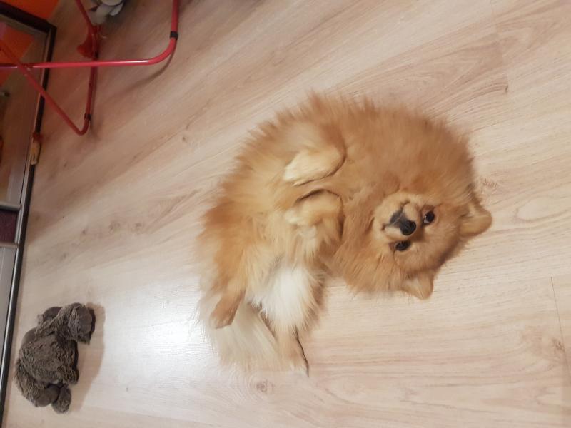 �������� ����. ���������� �����