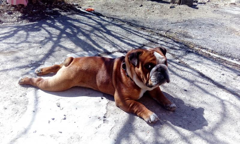 ���������� �������. ���������� �����