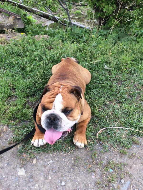 ���������� �������. ���������� �����