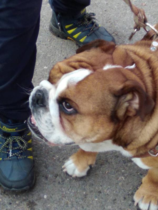 ���������� �������. ���������� �����