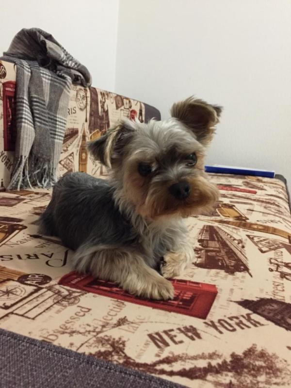 ����������� ������. ���������� �����