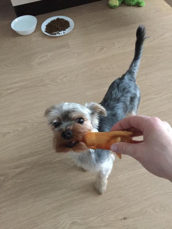 ����������� ������. ���������� �����