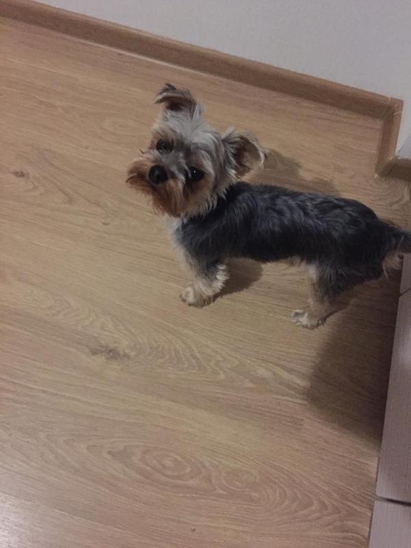 ����������� ������. ���������� �����