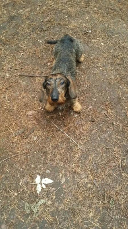 �����. ���������� �����