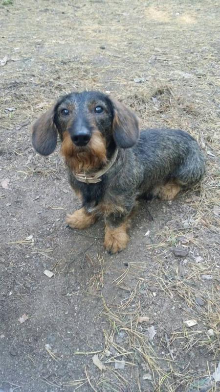 �����. ���������� �����