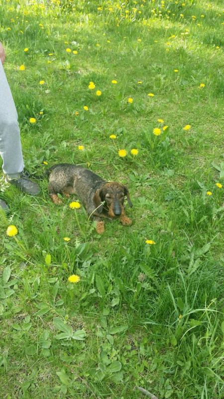 �����. ���������� �����