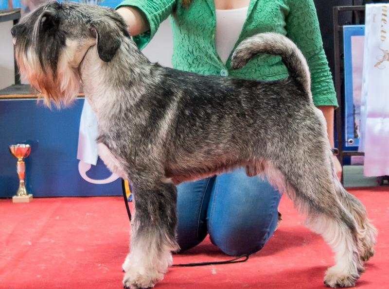 ��������������