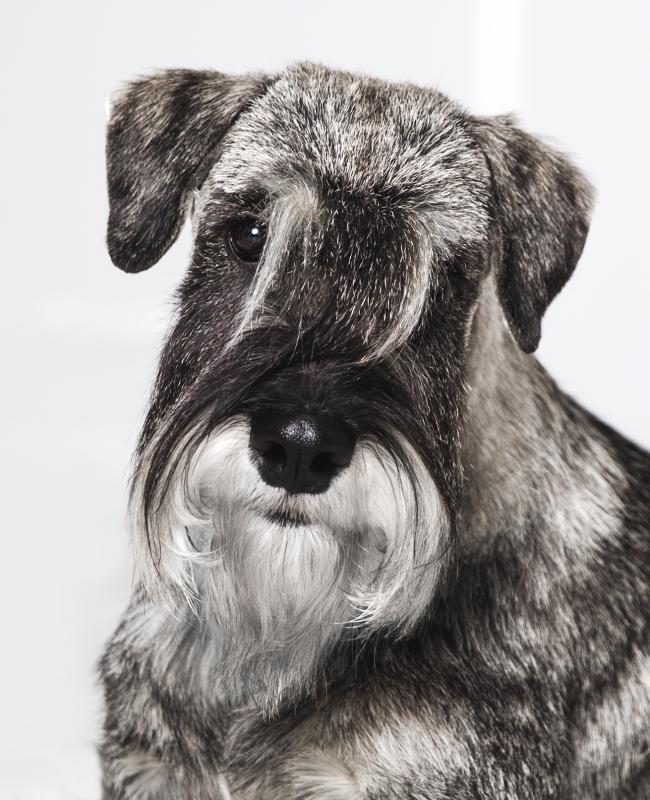 ��������������