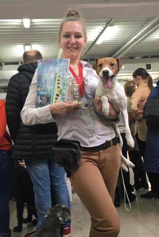 ������ ������ ������. ���������� �����