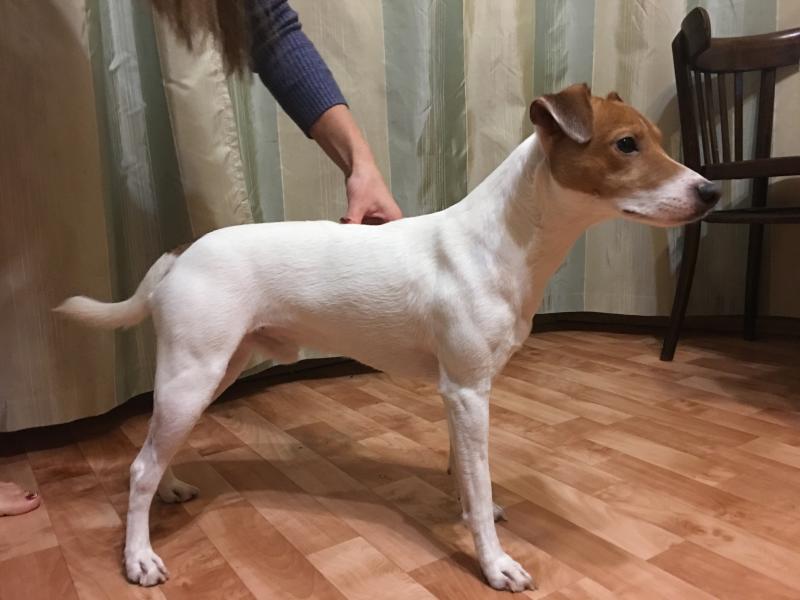 ������ ������ ������. ���������� �����