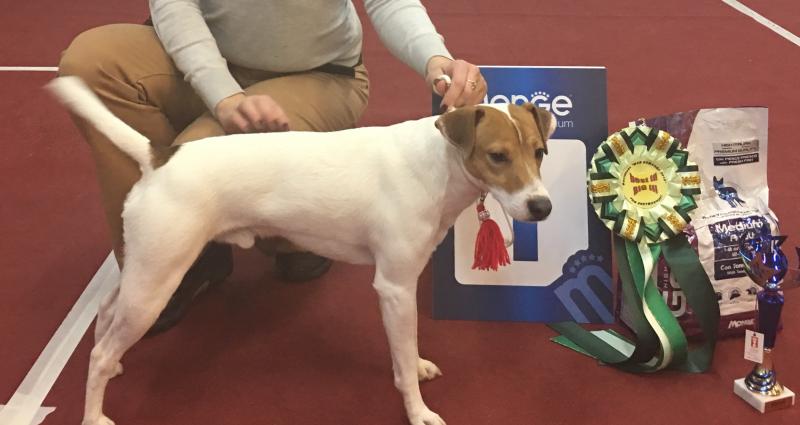 ������ ������ ������. ���������� �����