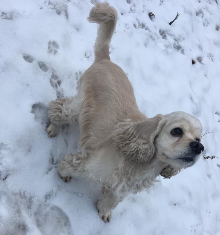 ������������ ����� ��������. ���������� �����