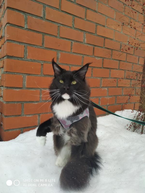 ����-���. ���������� �����