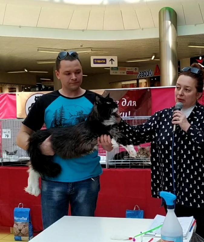 ����-���. ���������� �����