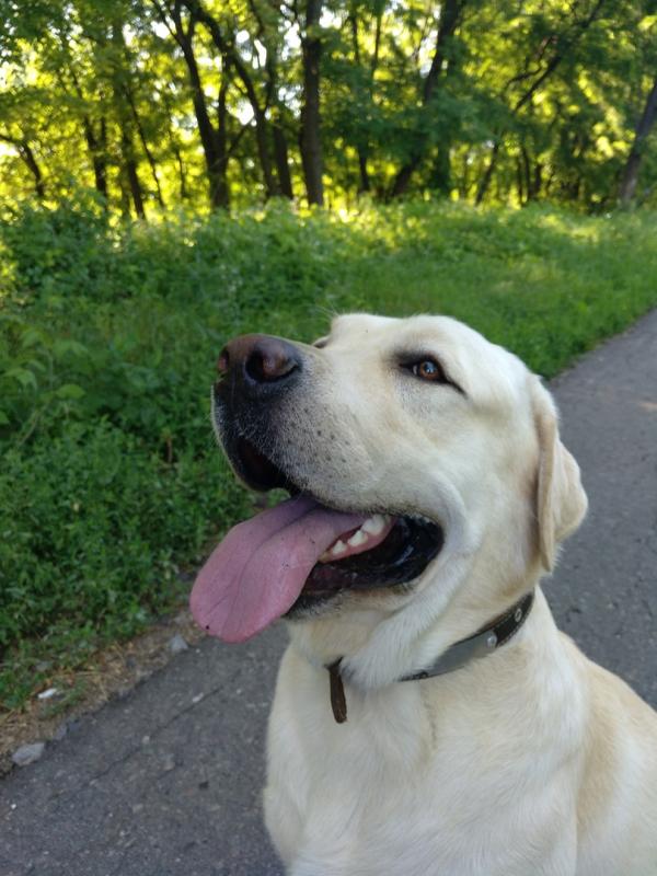 �������� ��������. ���������� �����