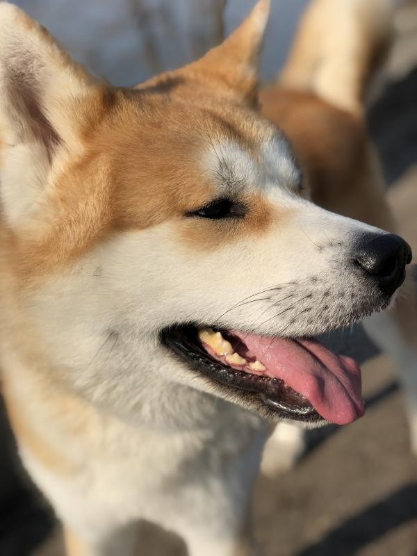 �����-���