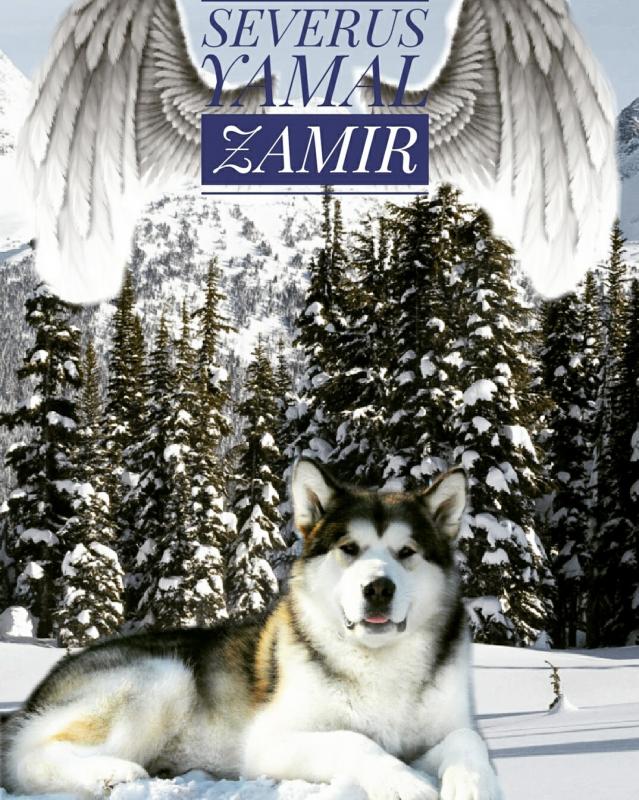 ����������� �������. ���������� �����