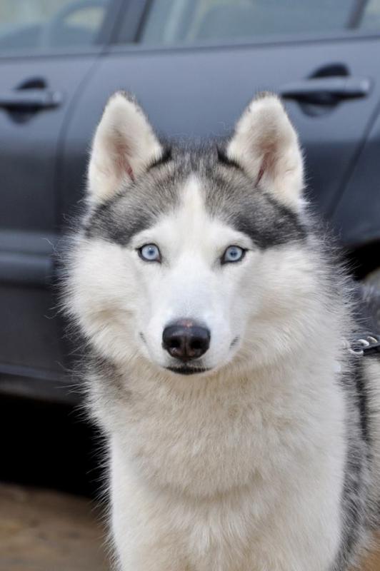 ��������� �����. ���������� �����