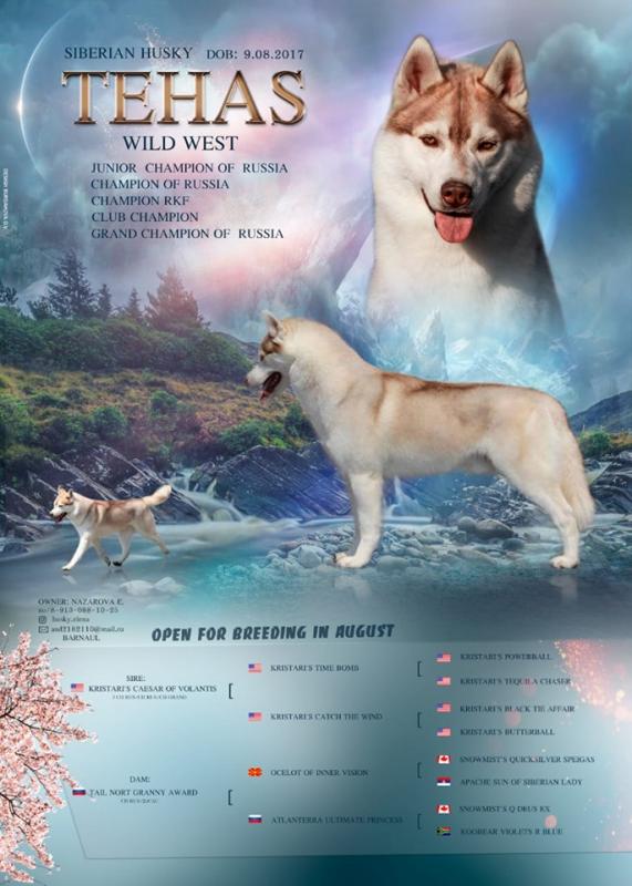 ��������� �����. ���������� �����