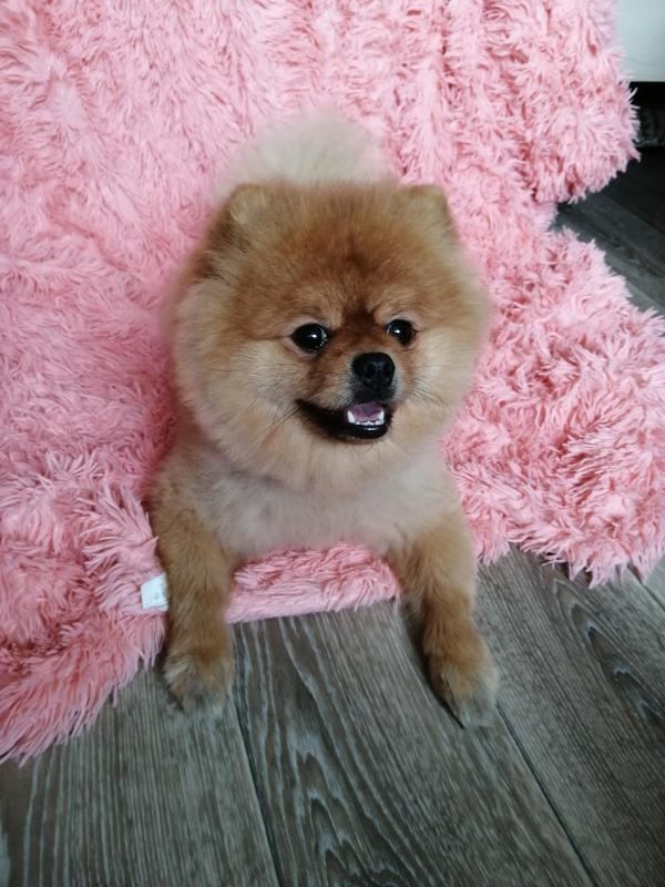 �������� ����. ���������� �����