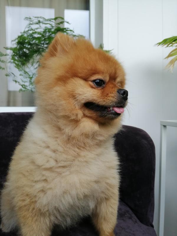 �������� ����. ���������� �����