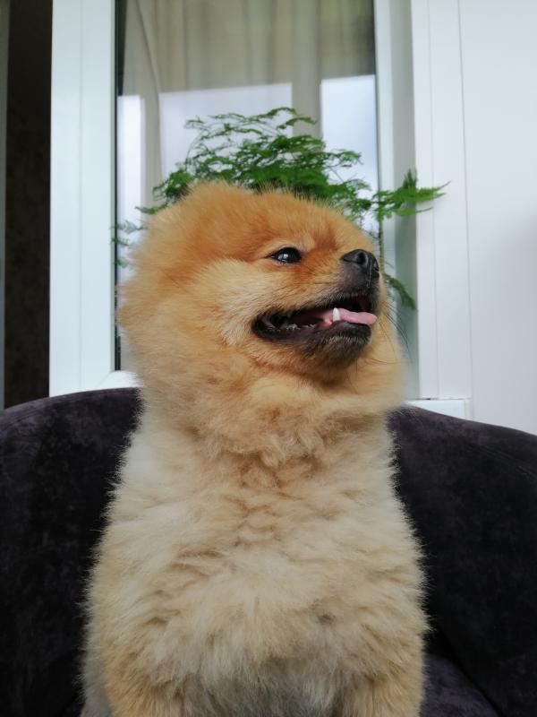 �������� ����. ���������� �����