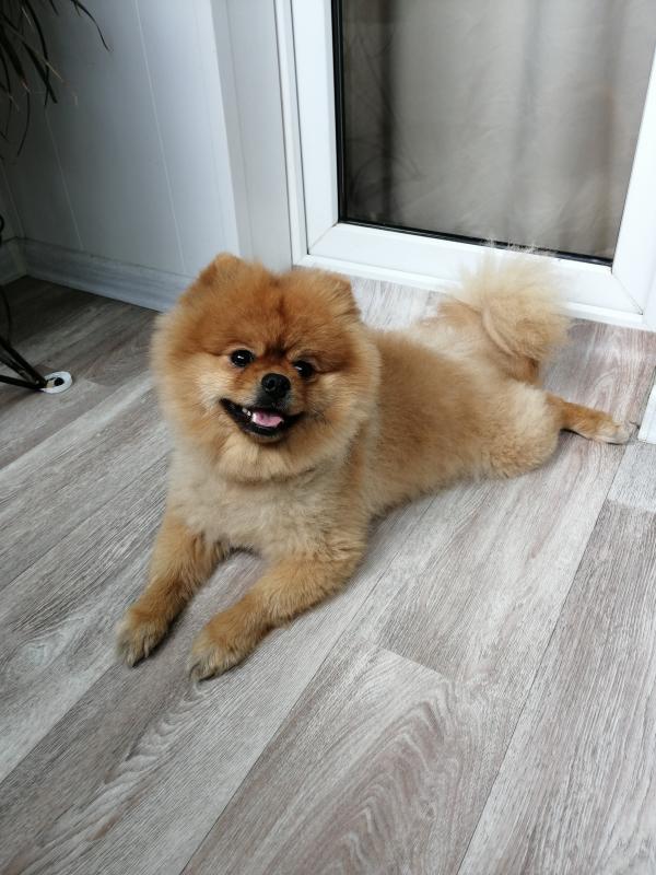 �������� ����. ���������� �����