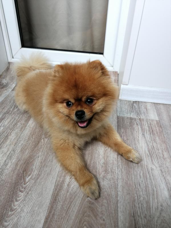 �������� ����. ���������� �����