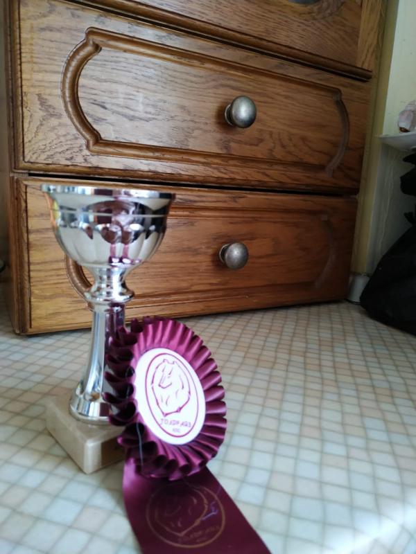 ����� ����� ��������. ���������� �����