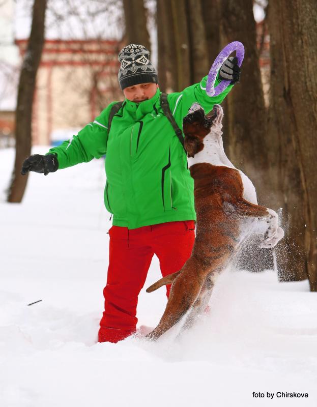 ������. ���������� �����