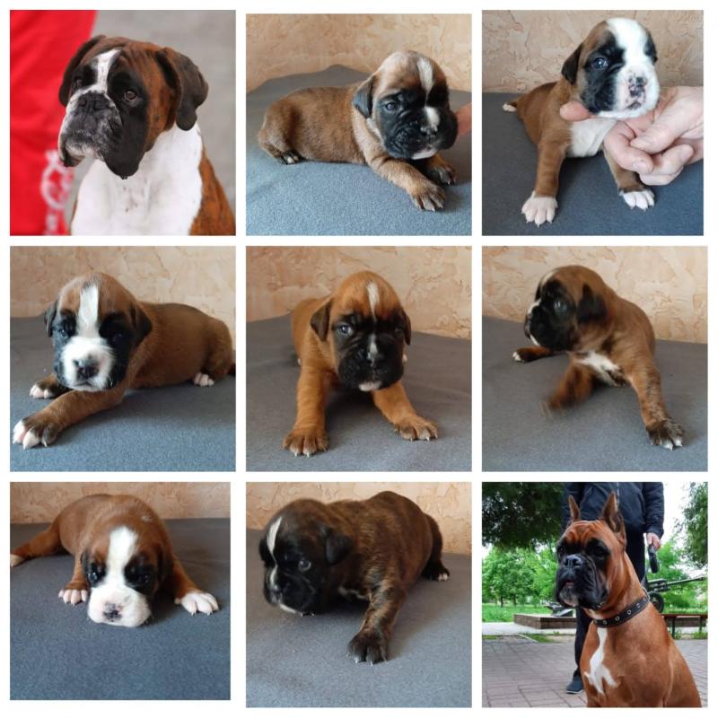 ������. ���������� �����