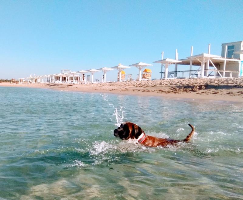 ������. ���������� �����